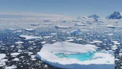 Sea Ice