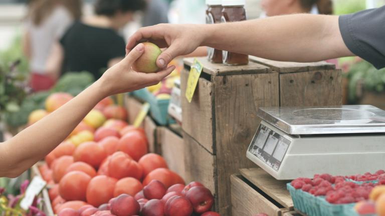 Fruit Stand